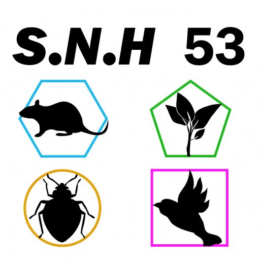 S.N.H 53